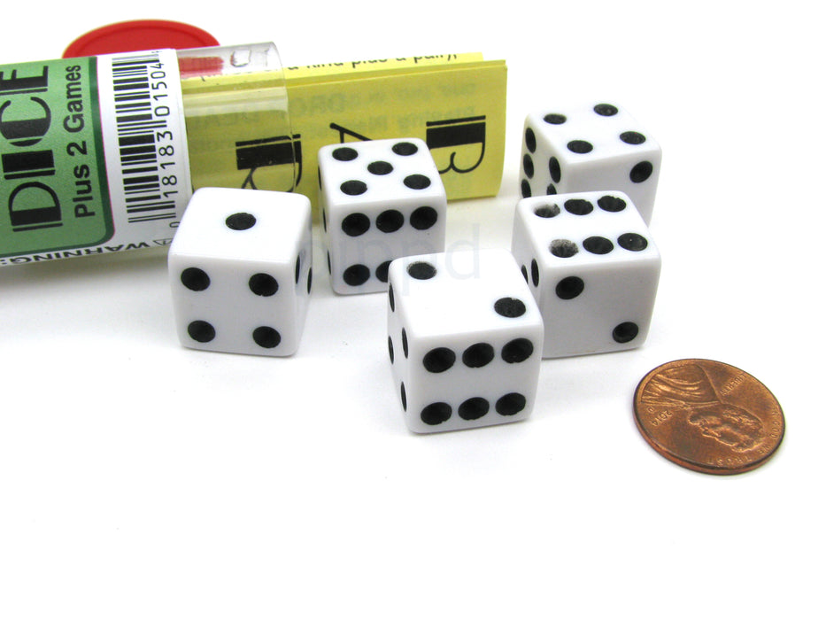 Bar Dice Game with 5 Dice Travel Tube and Gaming Instructions