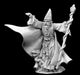 Reaper Miniatures Torm Goldentome #02913 Dark Heaven Legends Unpainted Metal