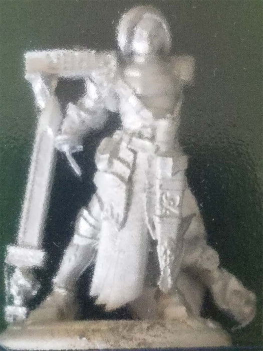 Merrowyn Lightstar, Female Elf Paladin #03764 Dark Heaven Unpainted Mini