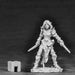 Reaper Miniatures Shardis, Elf Rogue  #03862 Dark Heaven Unpainted Metal Mini