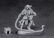 Belthual, Elf Chronicler 03864 Dark Heaven Unpainted Metal Mini