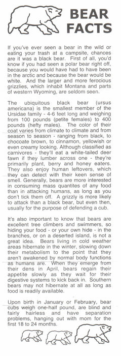 Black Bear Dice Game 5 Dice Set with Travel Tube and Instructions