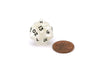 2020 Dice High Roller Twenty Sided D20 with Two 20s, 1 Piece - White with Black