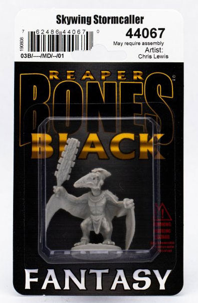 Reaper Miniatures Skywing Stormcaller #44067 Bones Black Unpainted Plastic Mini