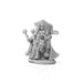 Pathfinder Shardra, Iconic Shaman #89052 Bones Plastic RPG Miniature Figure