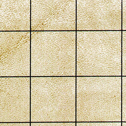 Chessex Mondomat - RPG Reversible Vinyl Mat 54" x 102" with 1" Squares/Hexes