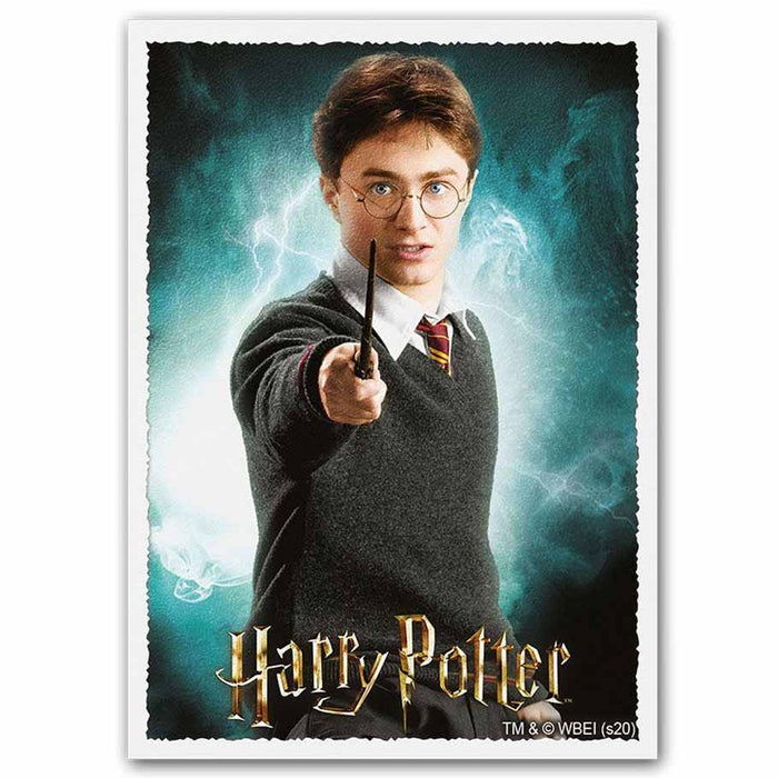 Wizarding World ‘Harry Potter’ Matte – 100 Standard Size Card Sleeves