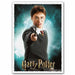 Wizarding World ‘Harry Potter’ Matte – 100 Standard Size Card Sleeves