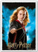 Wizarding World ‘Hermione Granger’ Matte – 100 Standard Size Card Sleeves