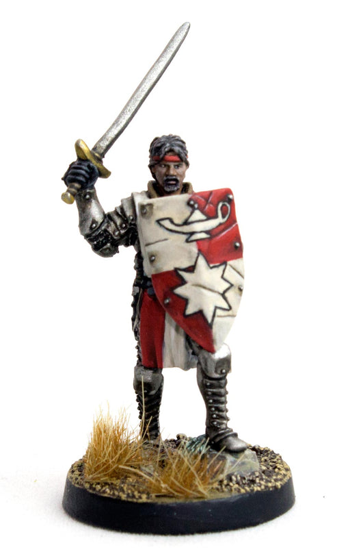 DGS Games High Questor of Tahnar #103005 Unpainted 32mm Scale Metal Figure