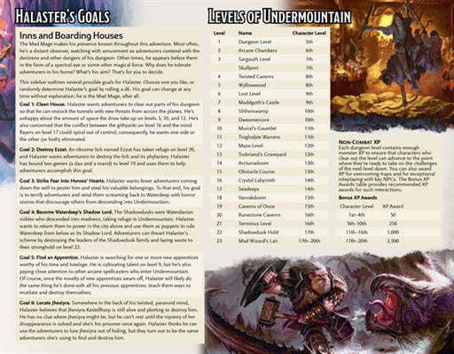 Dungeons and Dragons RPG: Waterdeep - Dungeon of the Mad Mage DM Screen