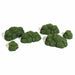 Monster Scenery, Pre-Painted Tabletop Scenery Set: Verdant Green Bushes