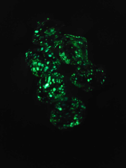 Luminary Nebula 16mm Tens D10 Percentile Dice, 6 Pieces - Nocturnal with Blue