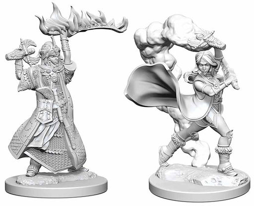 Pathfinder Deep Cuts Unpainted Miniatures: (W1) Human Female Cleric