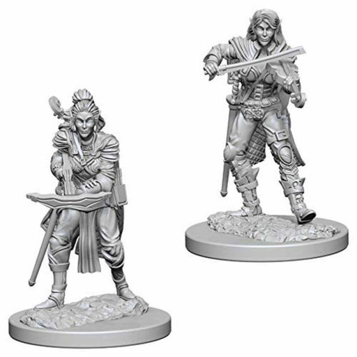 Pathfinder Deep Cuts Unpainted Miniatures: (W4) Elf Female Bard