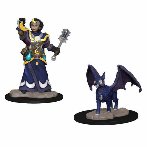 WizKids Wardlings Painted Miniatures: (W1) Girl Cleric & Winged Cat