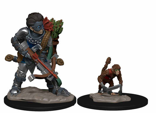 WizKids Wardlings Painted Miniatures: (W1) Boy Rogue & Monkey