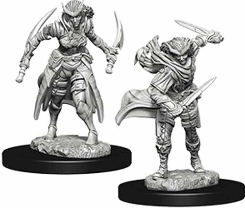 D&D Nolzur's Marvelous Unpainted Miniatures (W5) Dragonborn Female Paladin