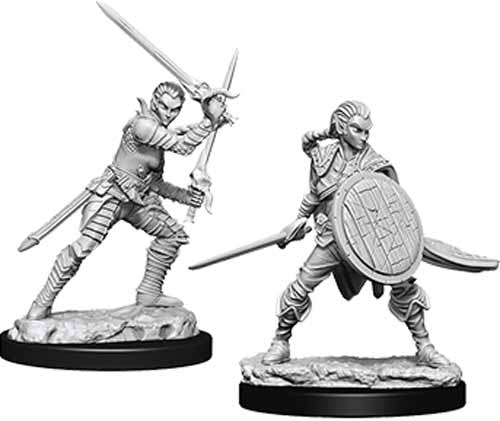 Pathfinder Deep Cuts Unpainted Miniatures: (W6) Female Elf Fighter