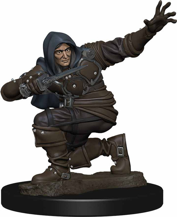 Pathfinder Battles: Premium Painted Figure - (W1) Human Rogue Male