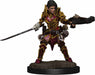 Pathfinder Battles: Premium Painted Figure - (W2) Elf Paladin Female