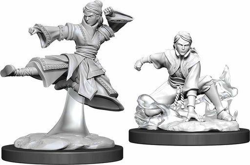 D&D Nolzur's Marvelous Unpainted Miniatures (W11) Female Human Monk