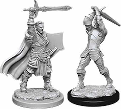 D&D Nolzur's Marvelous Unpainted Miniatures (W12) Male Human Paladin