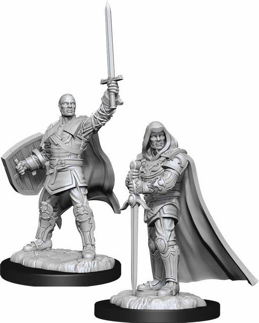 D&D Nolzur's Marvelous Unpainted Miniatures (W13) Human Paladin Male