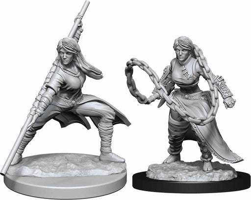D&D Nolzur's Marvelous Unpainted Miniatures (W14) Human Monk Female
