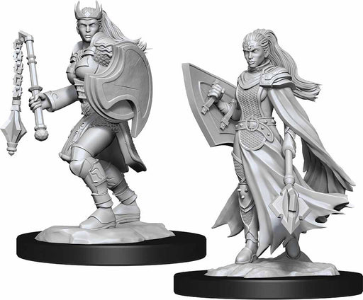 D&D Nolzur's Marvelous Unpainted Miniatures (W14) Kalashtar Cleric Female