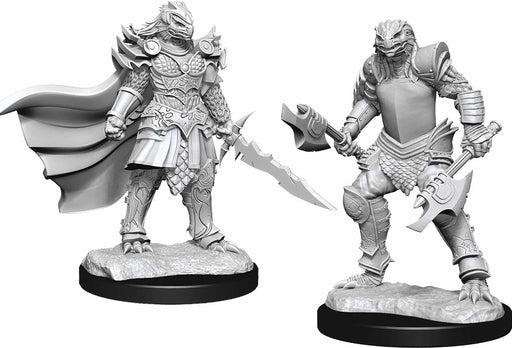 D&D Nolzur's Marvelous Unpainted Miniatures (W15) Dragonborn Fighter Female