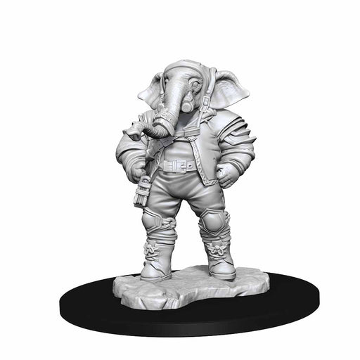 Magic the Gathering Unpainted Miniatures: (W3) Qunitorius, Field Historian