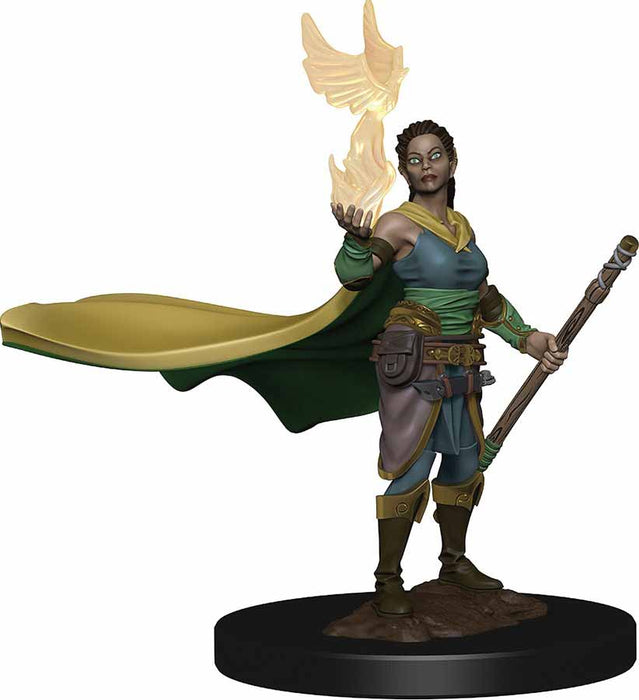 D&D Icons of the Realms Premium Figure, Painted Miniature: (W1) Elf Female Druid