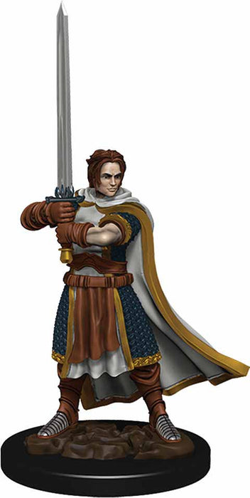 D&D Icons of the Realms Premium Figure, Painted Miniature: (W4) Human Cleric Male