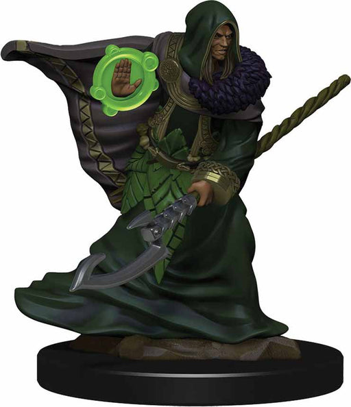 D&D Icons of the Realms Premium Figure, Painted Miniature: (W5) Elf Druid Male